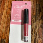 Daiso Why Not Spinns Lip Gloss ( Coral Pink)